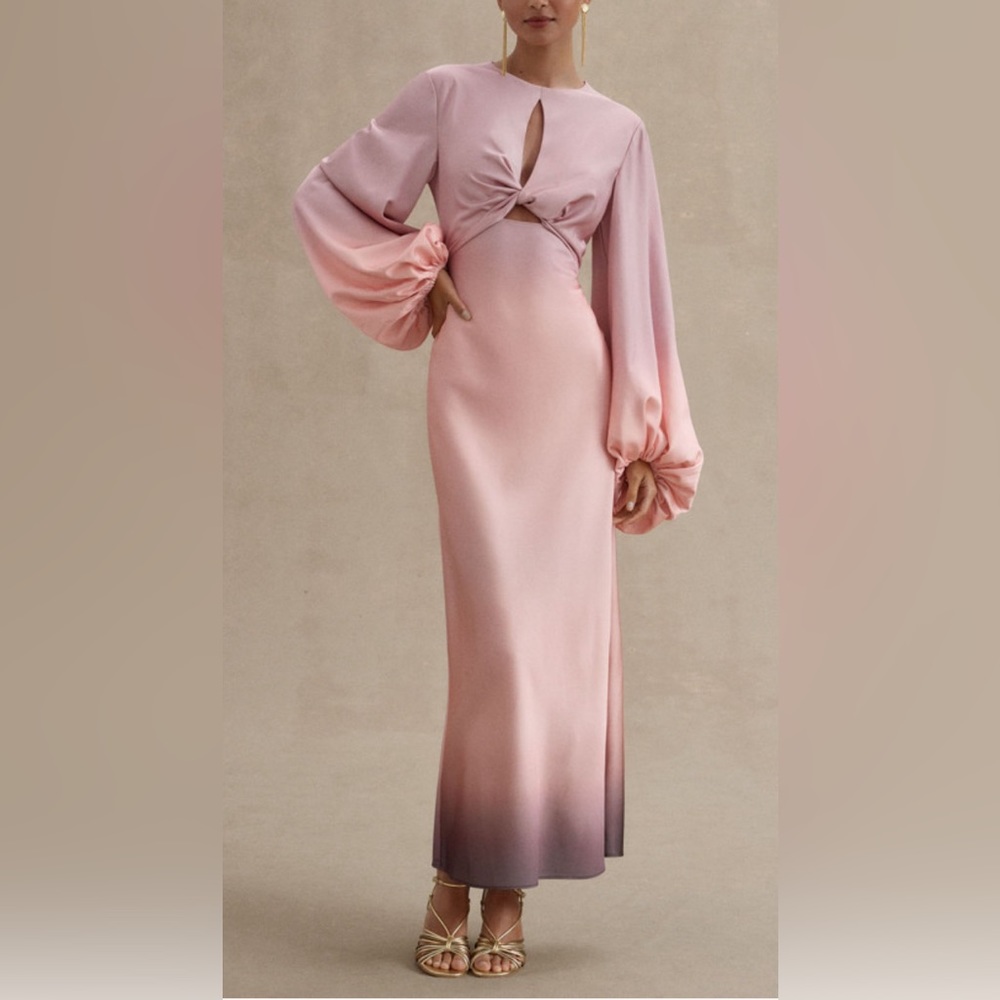 NWT - Demi Backless Long Sleeve Column Gown